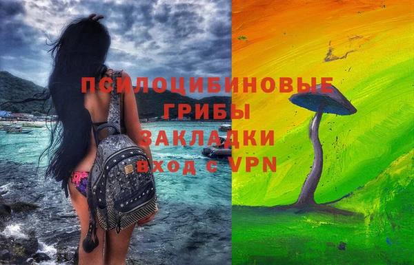 бошки Армянск