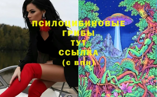 бошки Армянск