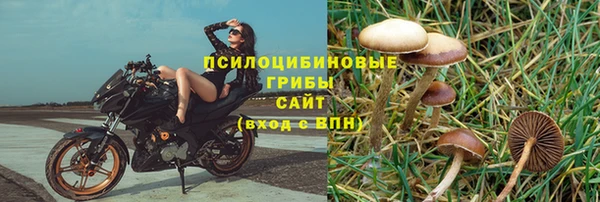 бошки Армянск